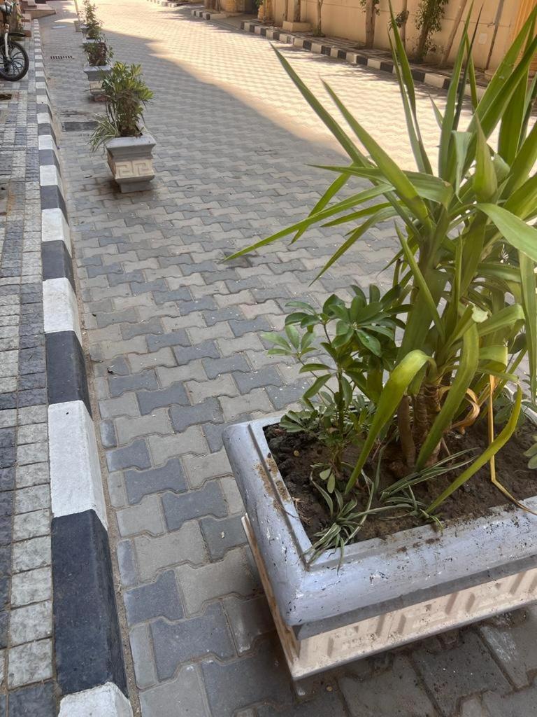 Apartment فاخرة في كمبوند ميامى جراند بلازا Alexandria